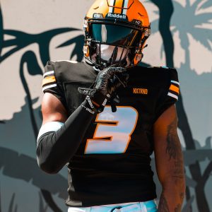 Double Arm Sleeves Black (1 Pair)