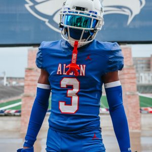 Double Arm Sleeves Blue (1 Pair)