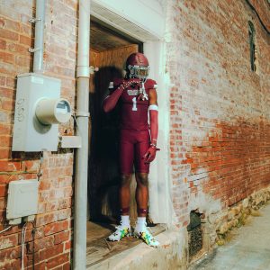 Double Arm Sleeves Maroon (1 Pair)