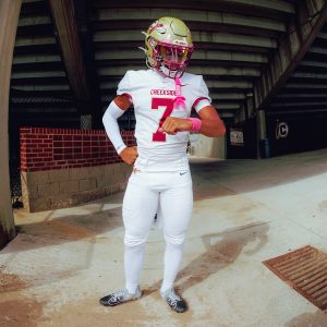 Wrist Bands Pink (1 Pair)